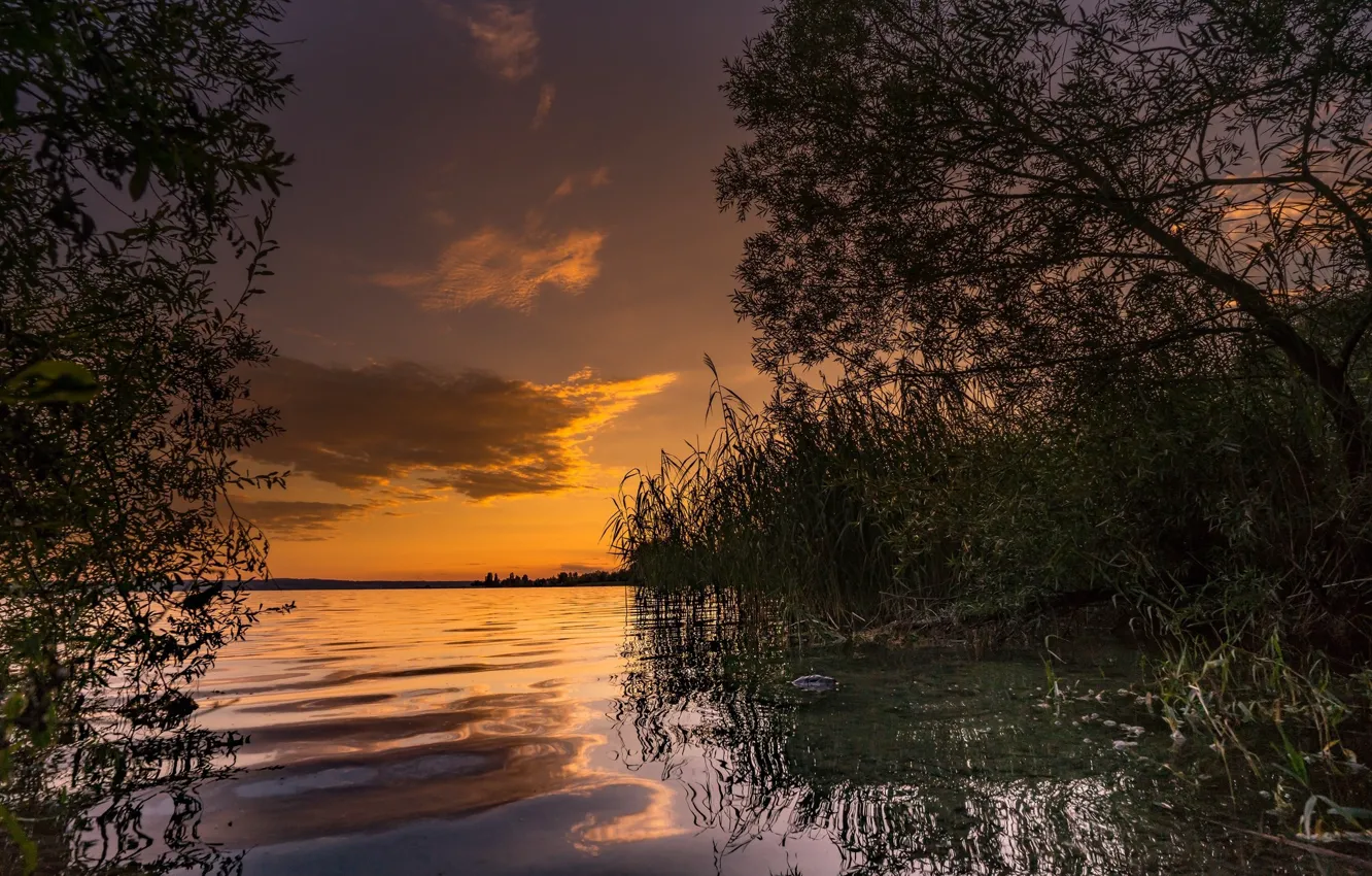 Фото обои вода, озеро, вечер