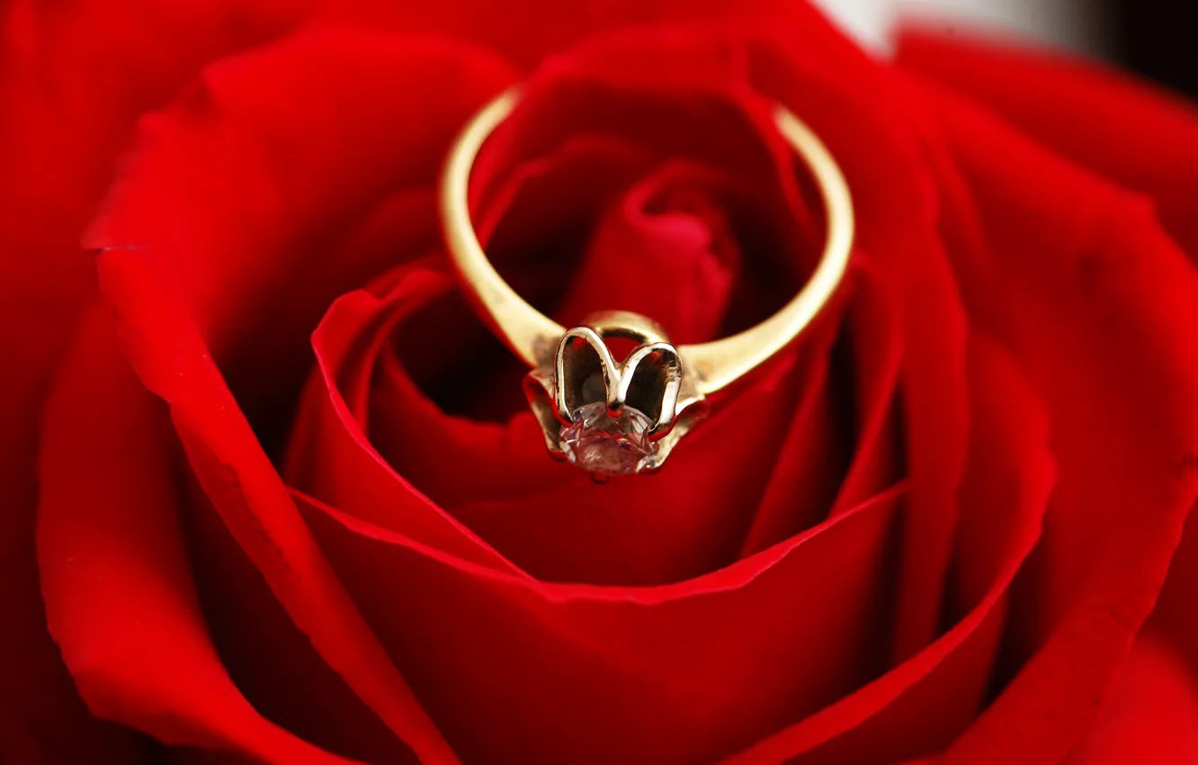 Кольцо красная роза
