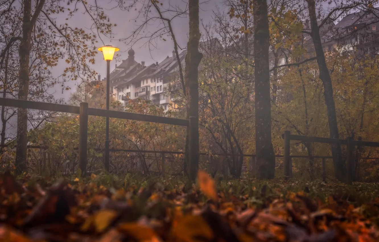 Фото обои осень, деревья, туман, здания, дома, Швейцария, фонарь, Switzerland