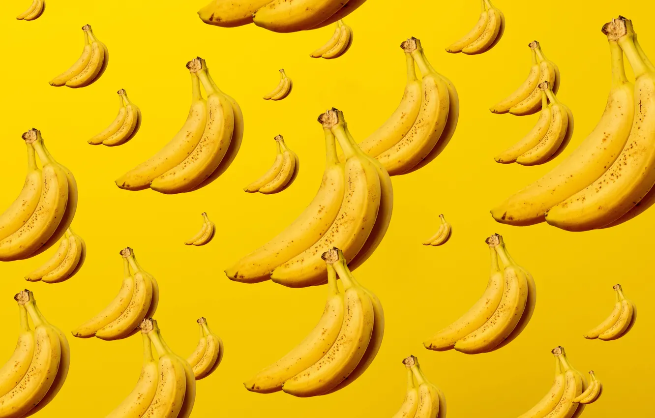 Фото обои бананы, желтый фон, yellow background, bananas, Aleksandar Pasaric