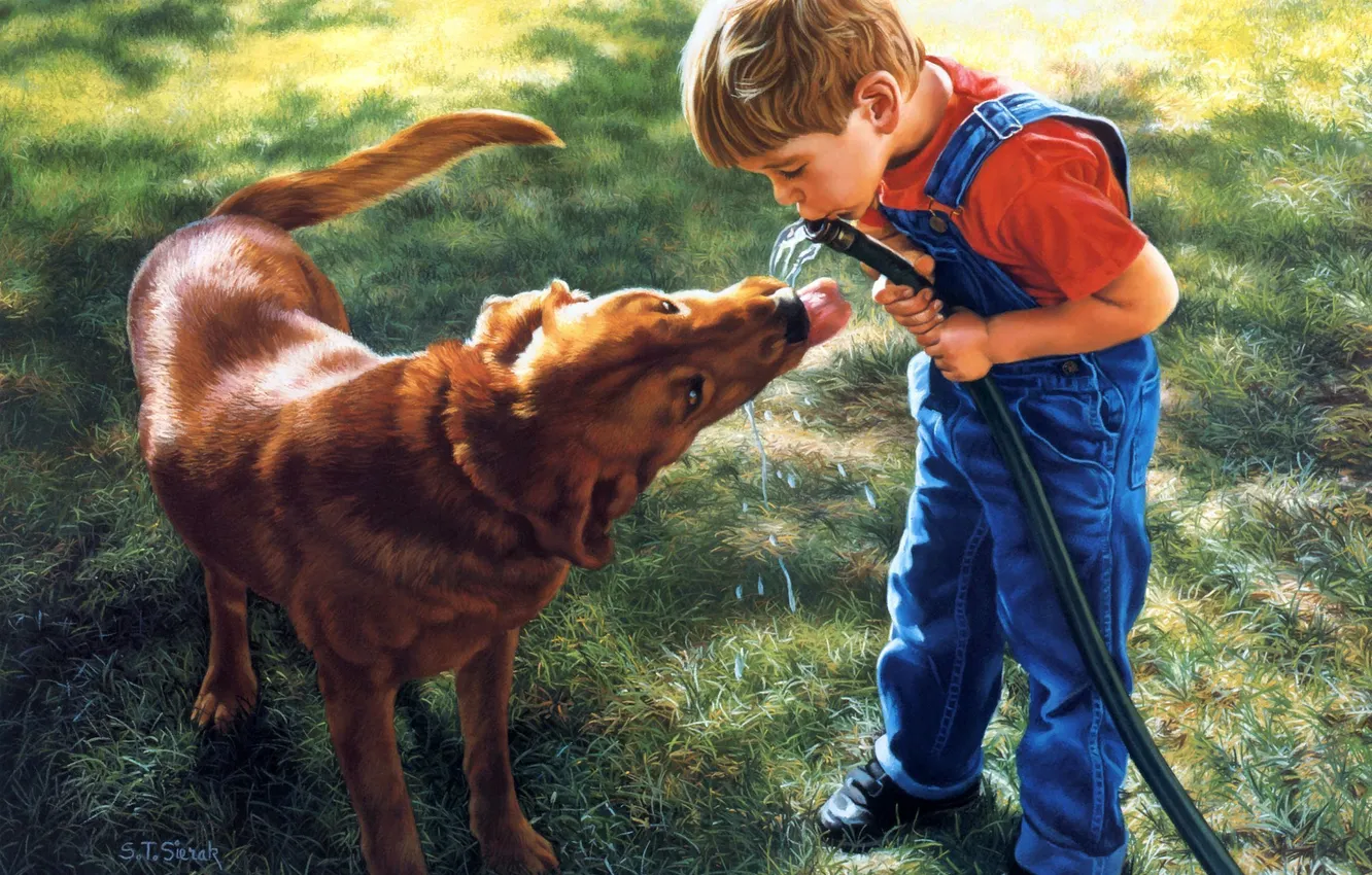 Фото обои собака, мальчик, арт, шланг, S Thomas Sierak