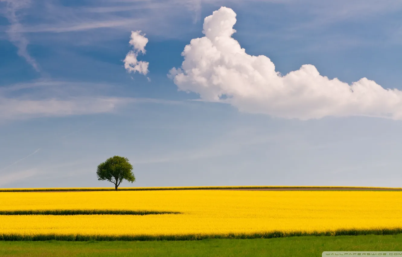 Фото обои nature, town, farm