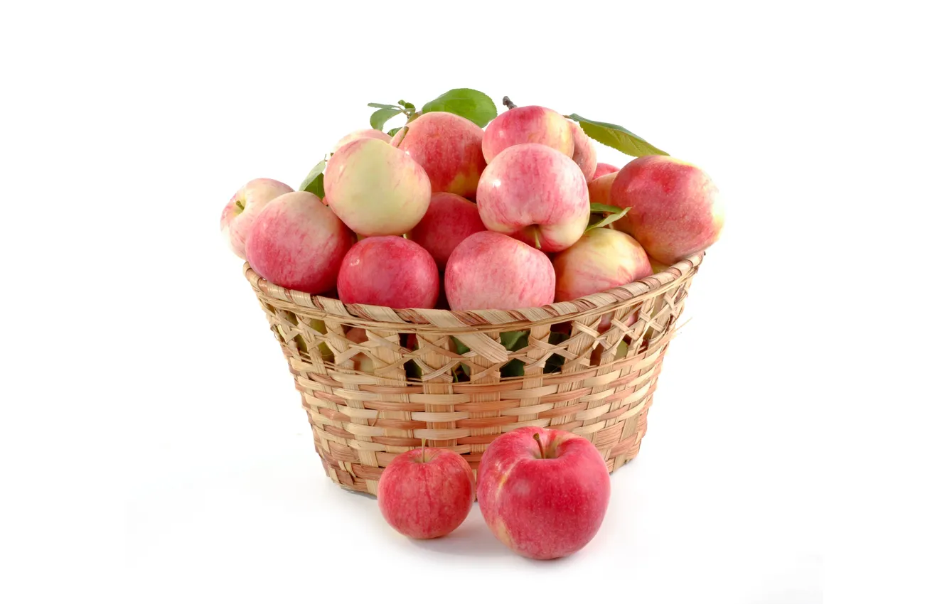 Фото обои яблоки, урожай, корзинка