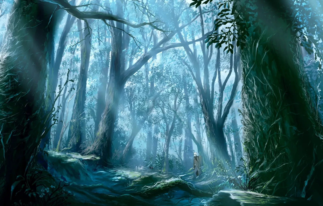Фото обои лес, лучи, деревья, корни, человек, старый, путник, солнца