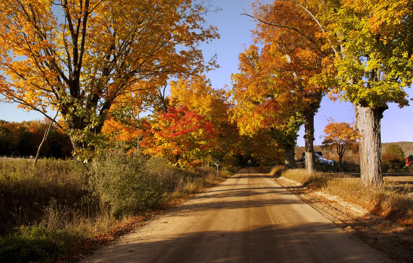 Фото обои дорога, поле, осень, небо, деревья, дом