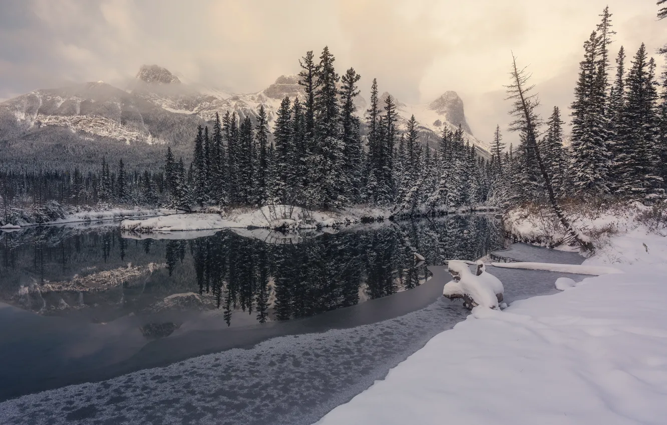 Фото обои зима, лес, облака, снег, горы, озеро, отражение, берег