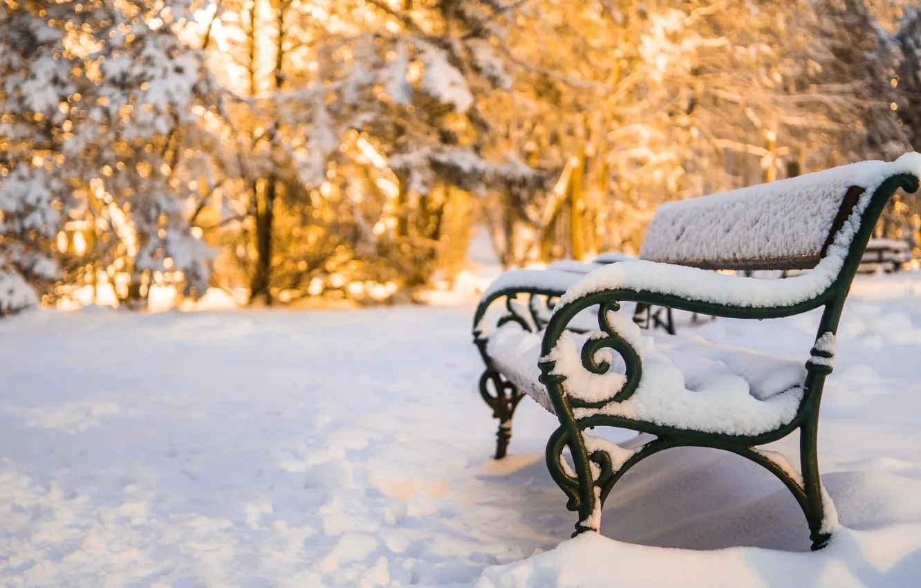 Фото обои снег, скамья, snow, bench, winter park, Зимний парк