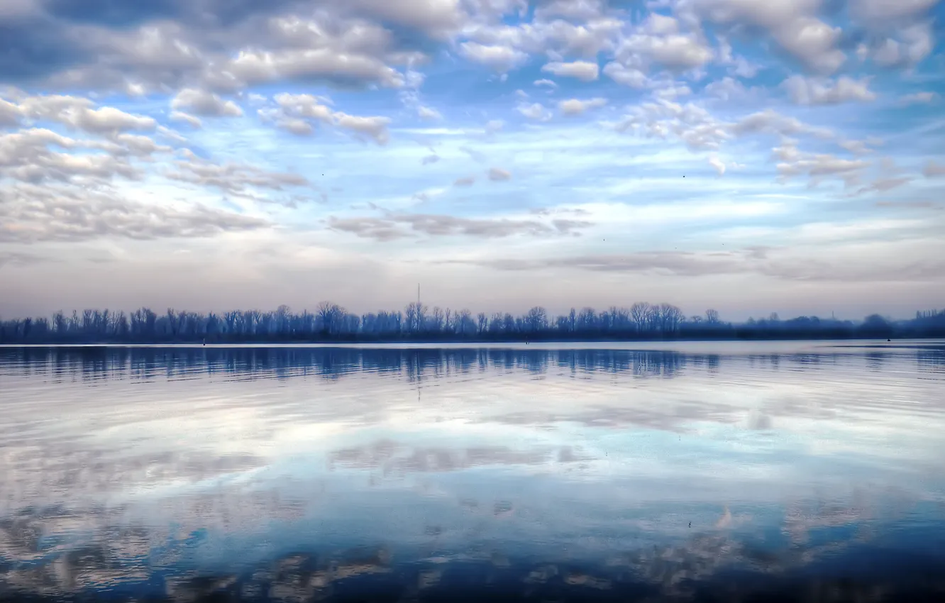 Фото обои лес, озеро, отражение, утро, зимнее