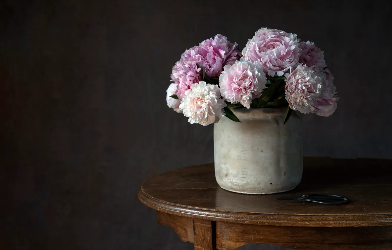 Фото обои цветы, стол, горшок