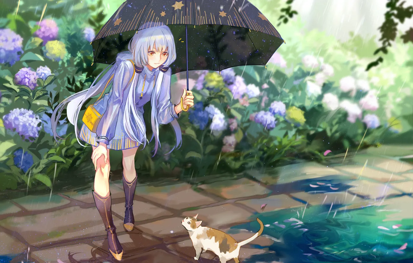 Фото обои кошка, девушка, дождь, зонт, Вокалоид
