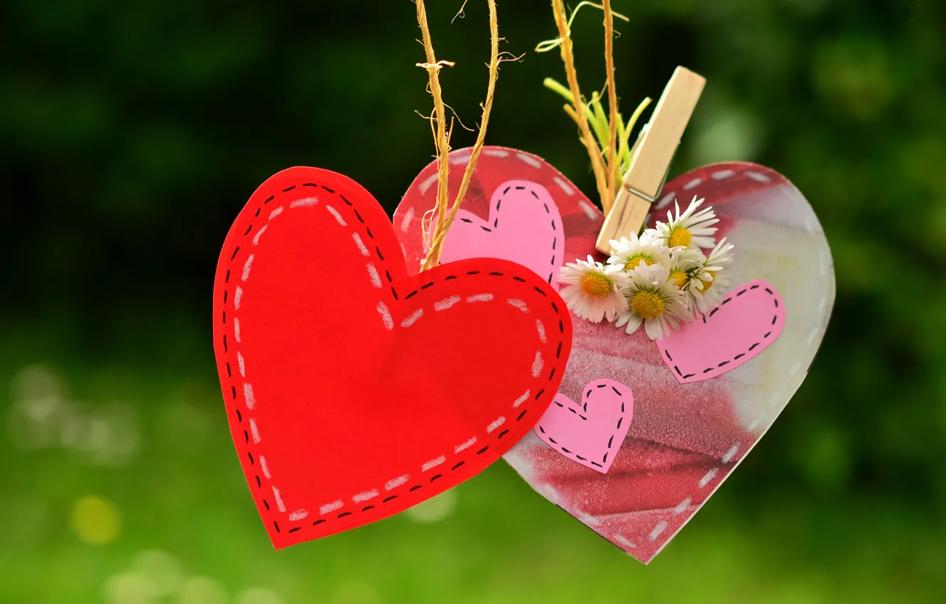 Фото обои любовь, цветы, природа, фон, красное, сердце, ромашки, позитив