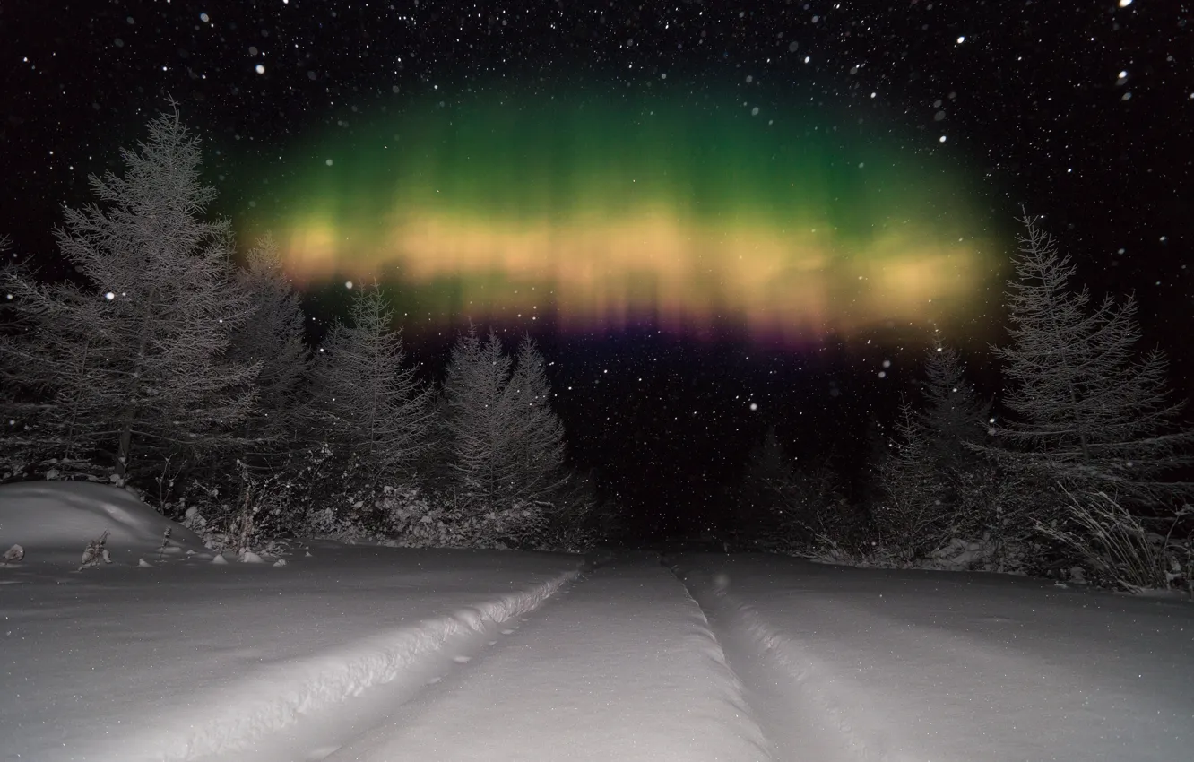 Фото обои зима, лес, небо, снег, деревья, снежинки, ночь, фотошоп