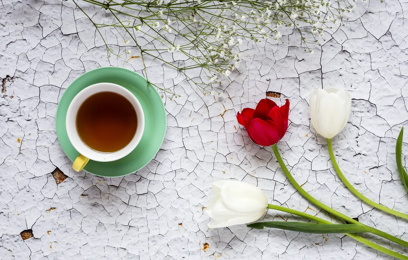 Фото обои цветы, тюльпаны, red, white, белые, wood, flowers, cup