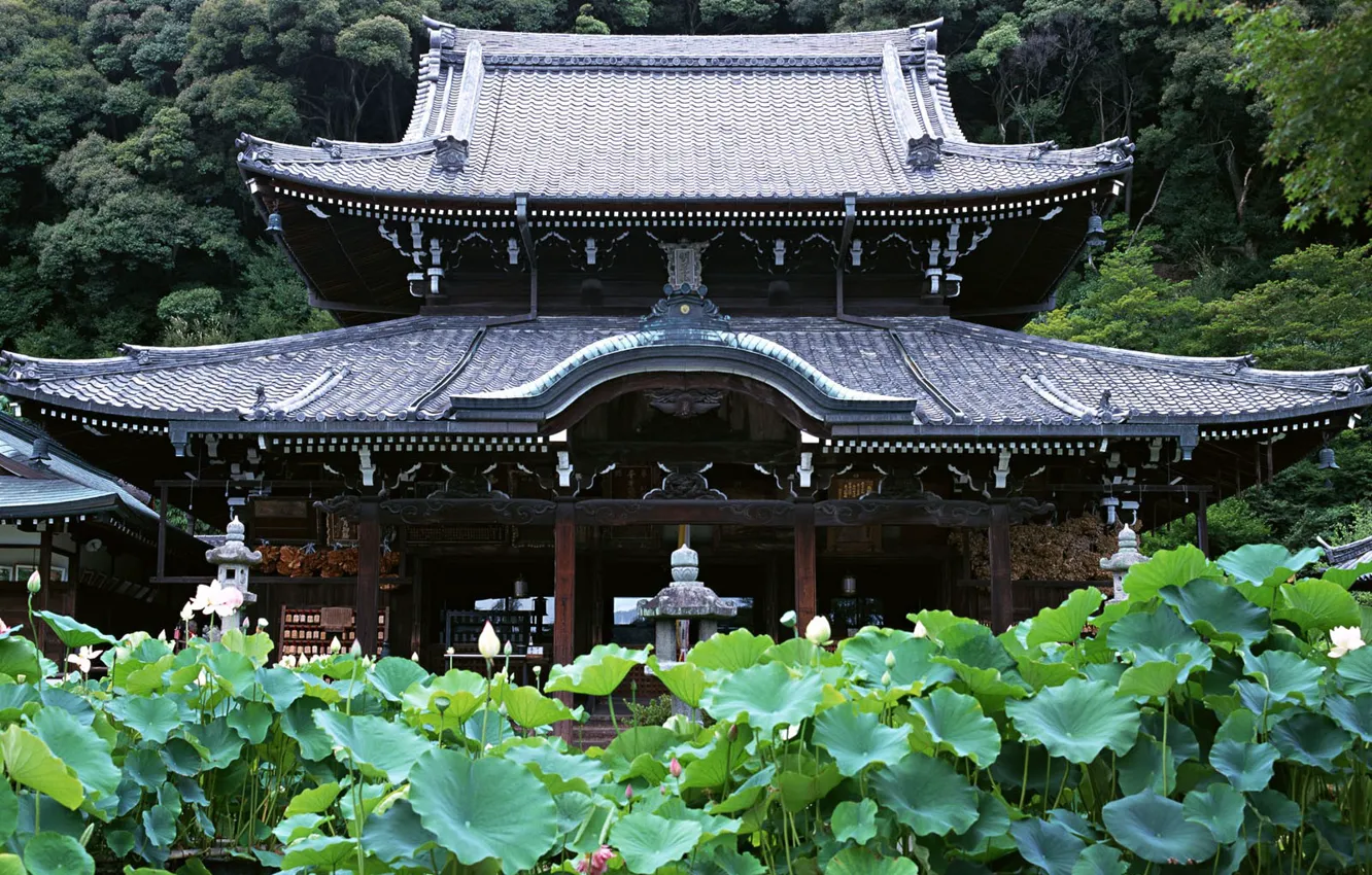 Фото обои Япония, Лес, Храм