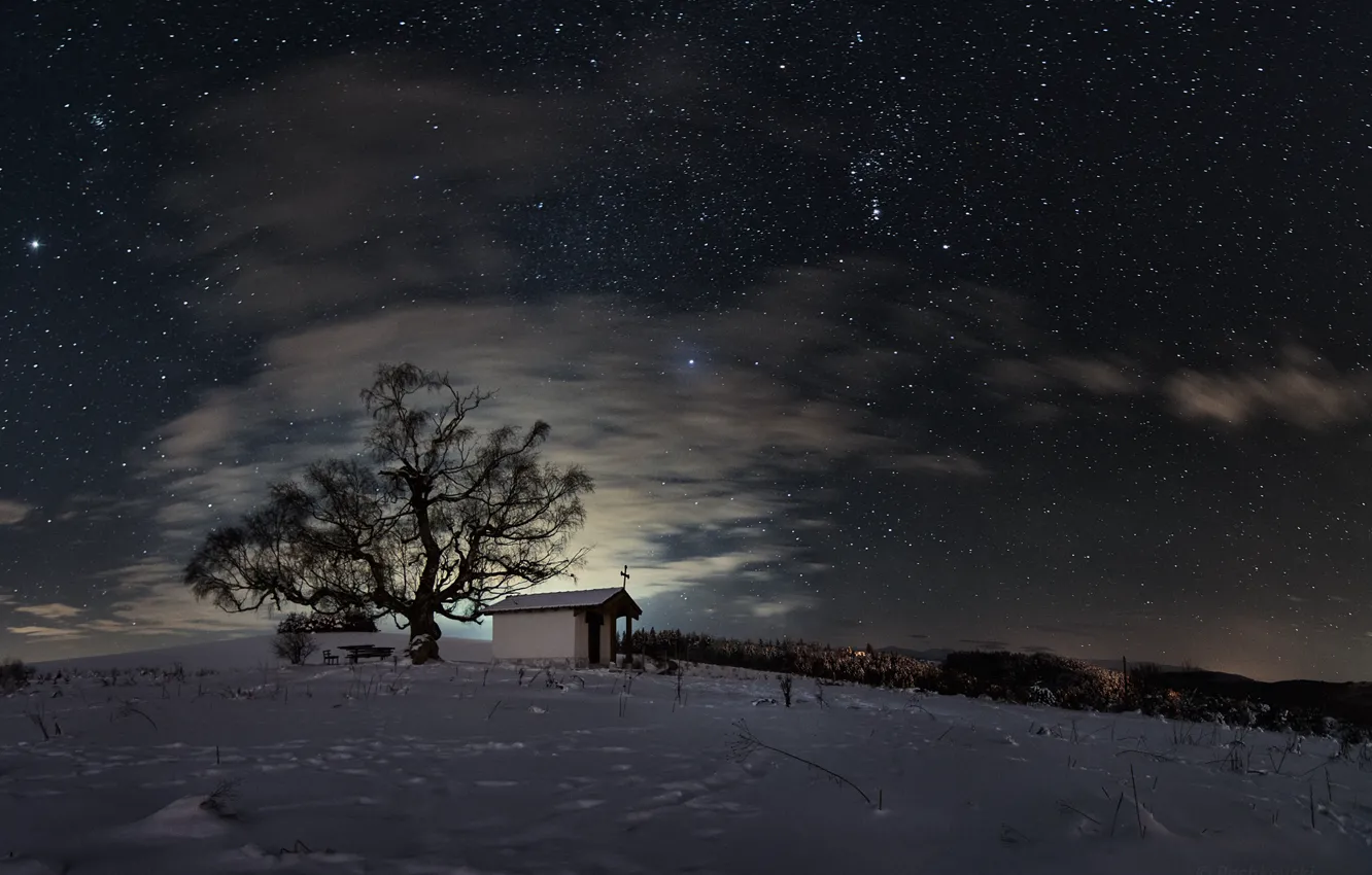 Фото обои зима, поле, небо, звезды, снег, ночь, дерево, часовня