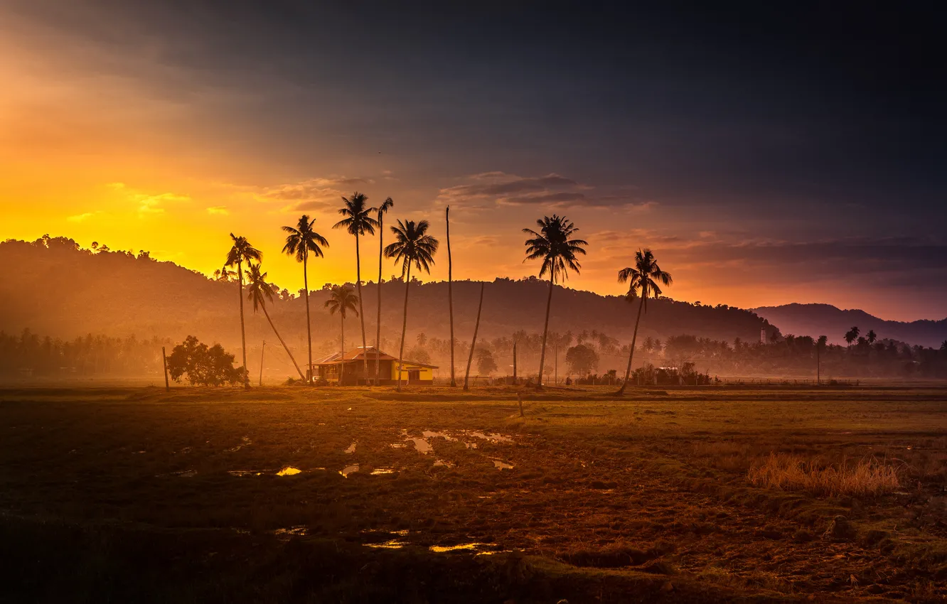 Фото обои закат, горы, пальмы, джунгли, хижина, malaysia