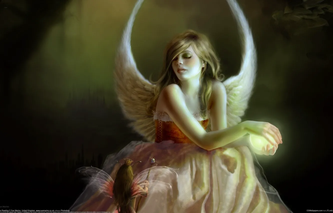 Фото обои девушка, магия, эльф, крылья, ангел, Sue Marino