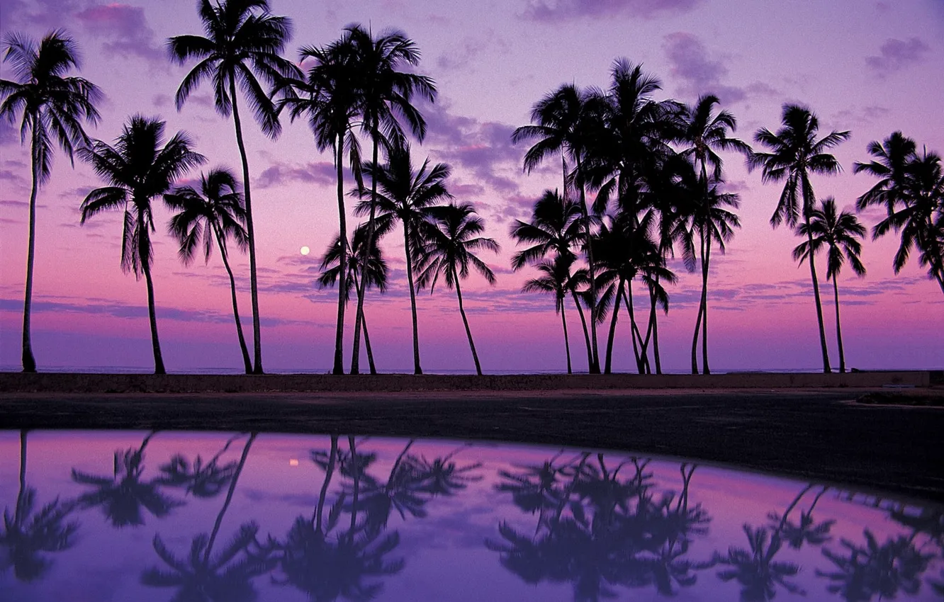 Фото обои песок, вода, закат, отражение, пальмы, тени, Африка, фиолетовый фон