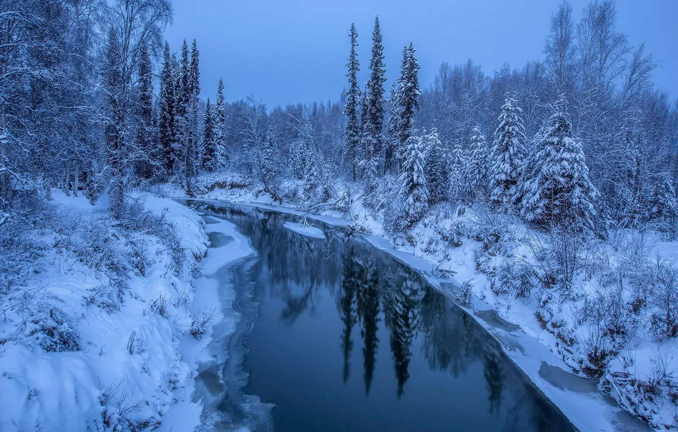 Фото обои зима, лес, снег, деревья, река, Аляска