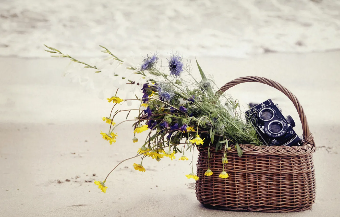 Фото обои песок, море, цветы, корзина, фотоаппарат, корзинка, полевые, васильки