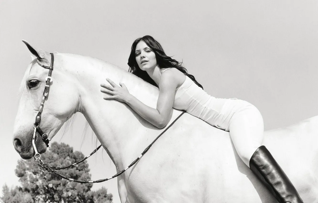Фото обои лошадь, Девушка, певица, katharine mcphee, кэтрин макфи