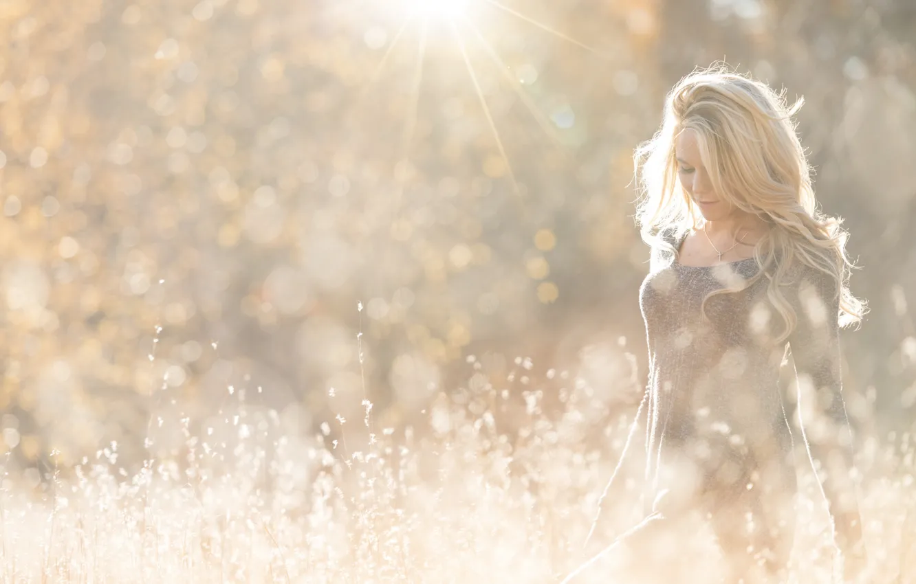 Фото обои поле, девушка, солнце, свет, блондинка, girl, model, Eric Snyder