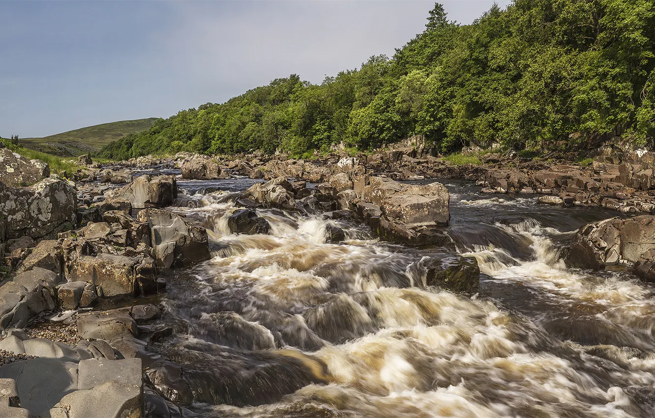 Фото обои лес, камни, Англия, England, River Tees, река Тис