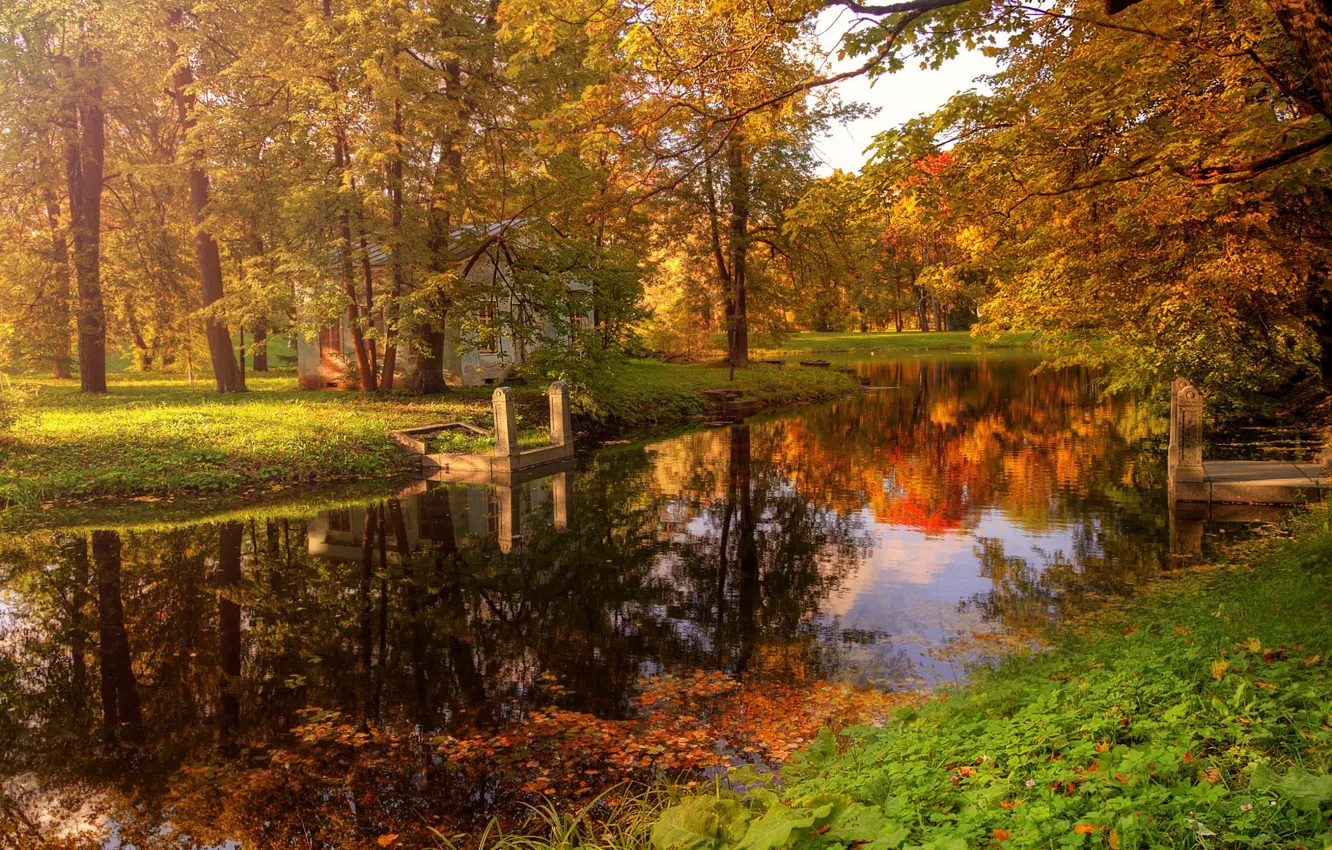 Фото обои осень, деревья, природа, отражение, река, Эдуард Гордеев