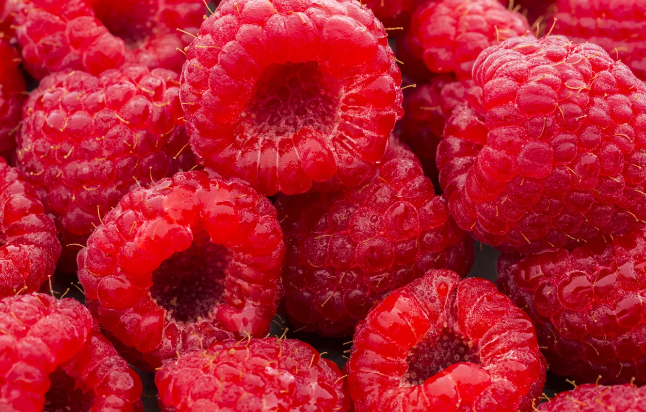 Фото обои ягоды, малина, фон, background, Raspberry