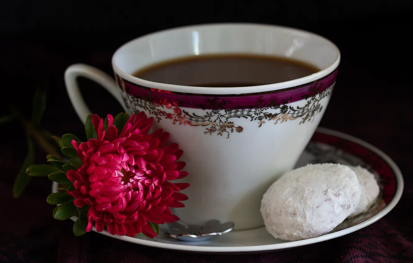 Фото обои кофе, печенье, астра