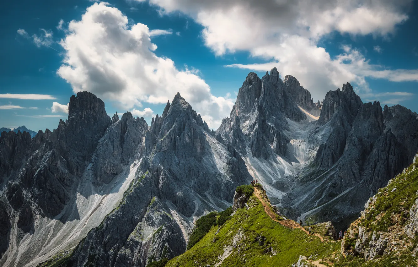 Фото обои grass, mountain, trail
