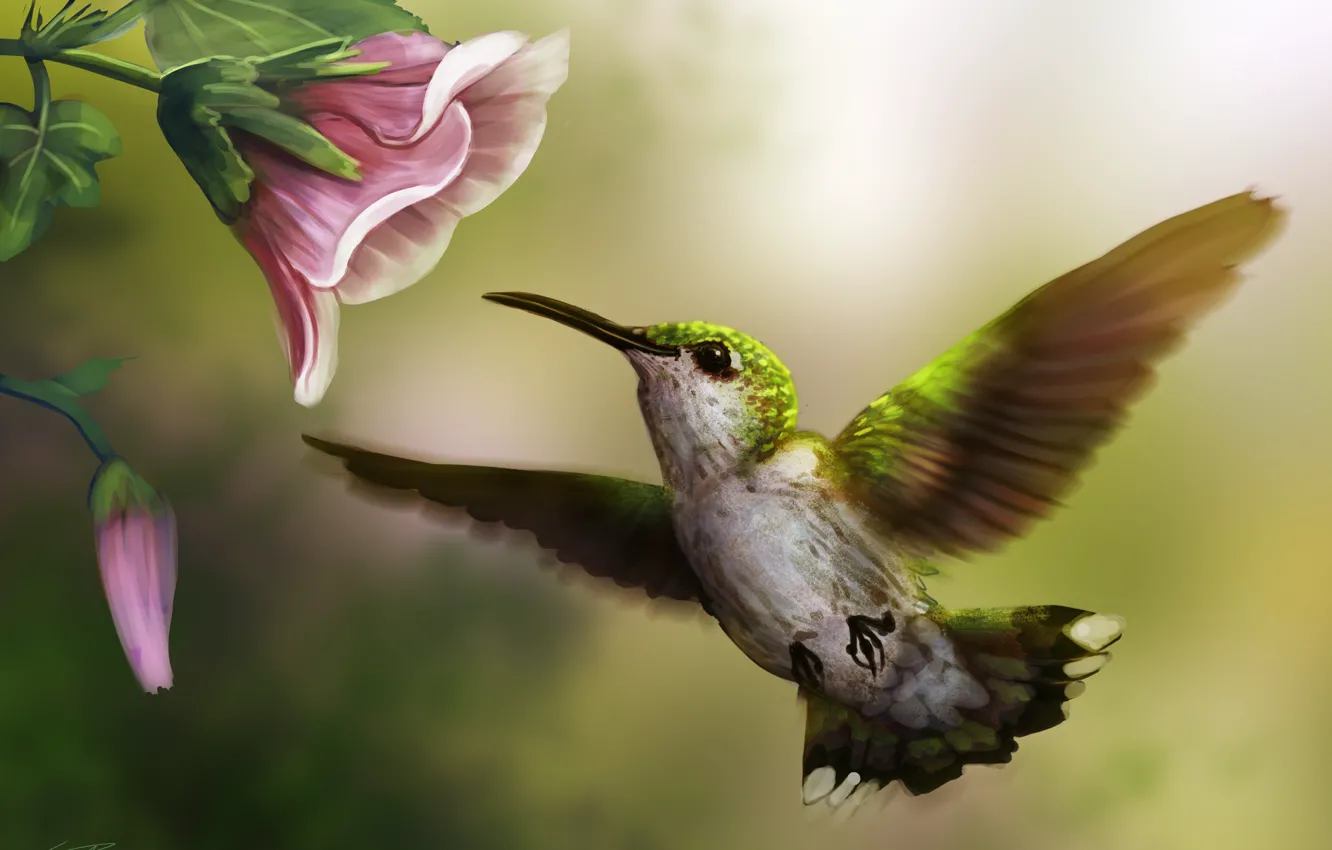 Фото обои цветок, розовый, птица, колибри, арт