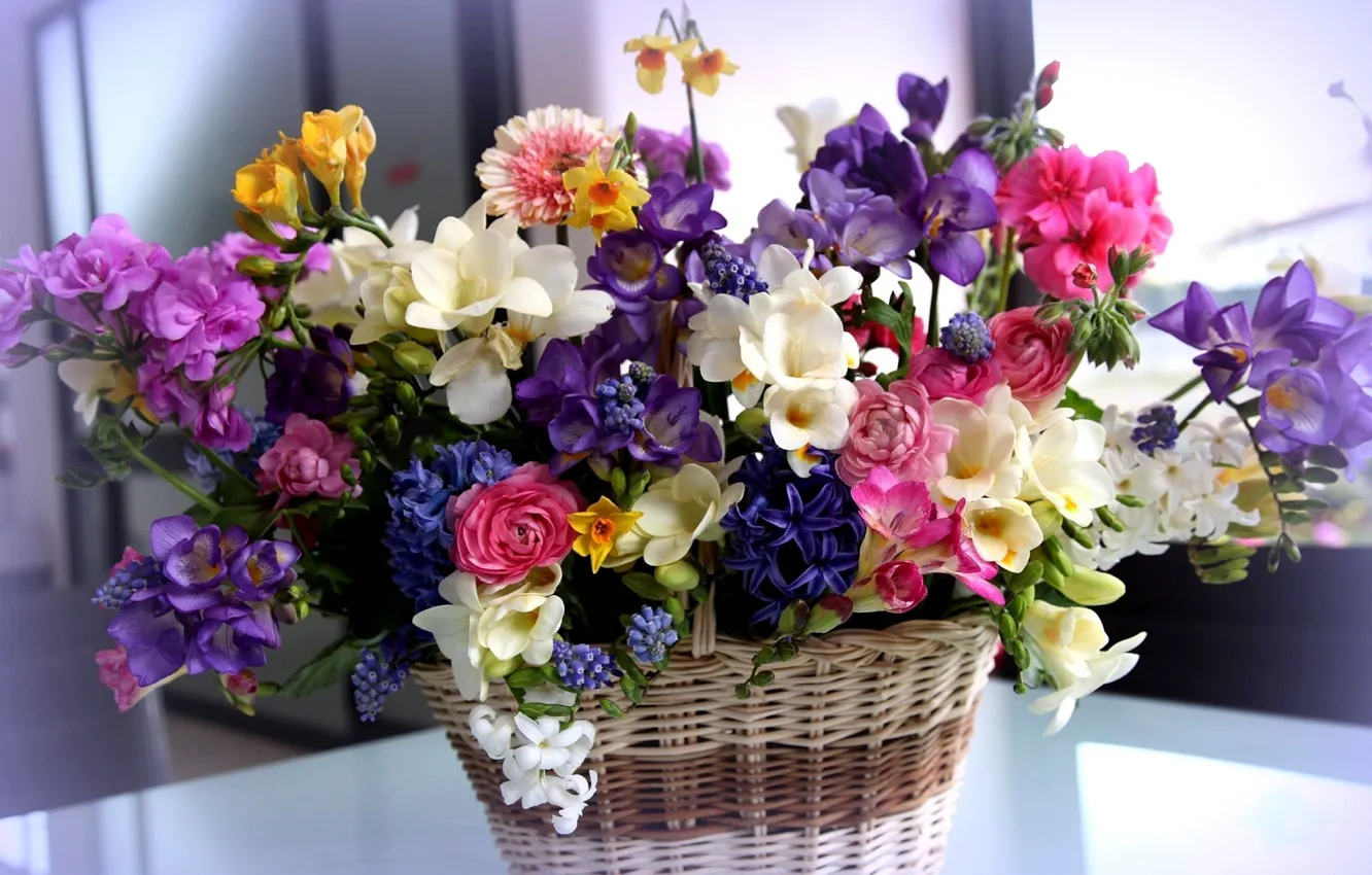 Фото обои цветы, букет, корзинка, разные, красивые, ранункулюс, фрезии, гиацинты