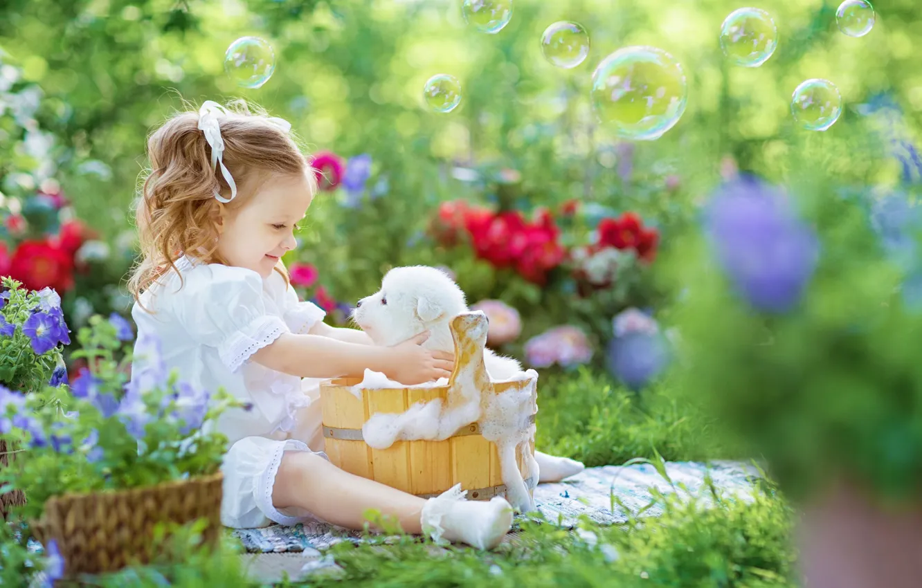 Фото обои пена, радость, цветы, настроение, купание, мыльные пузыри, девочка, щенок
