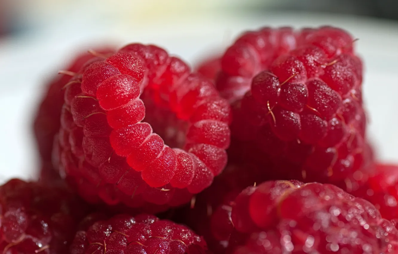 Фото обои малина, еда, berry, ягода, вкуснятина, красная, сочная, sweet