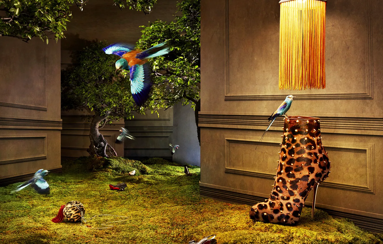 Фото обои птицы, дерево, стены, гламур, Обувь