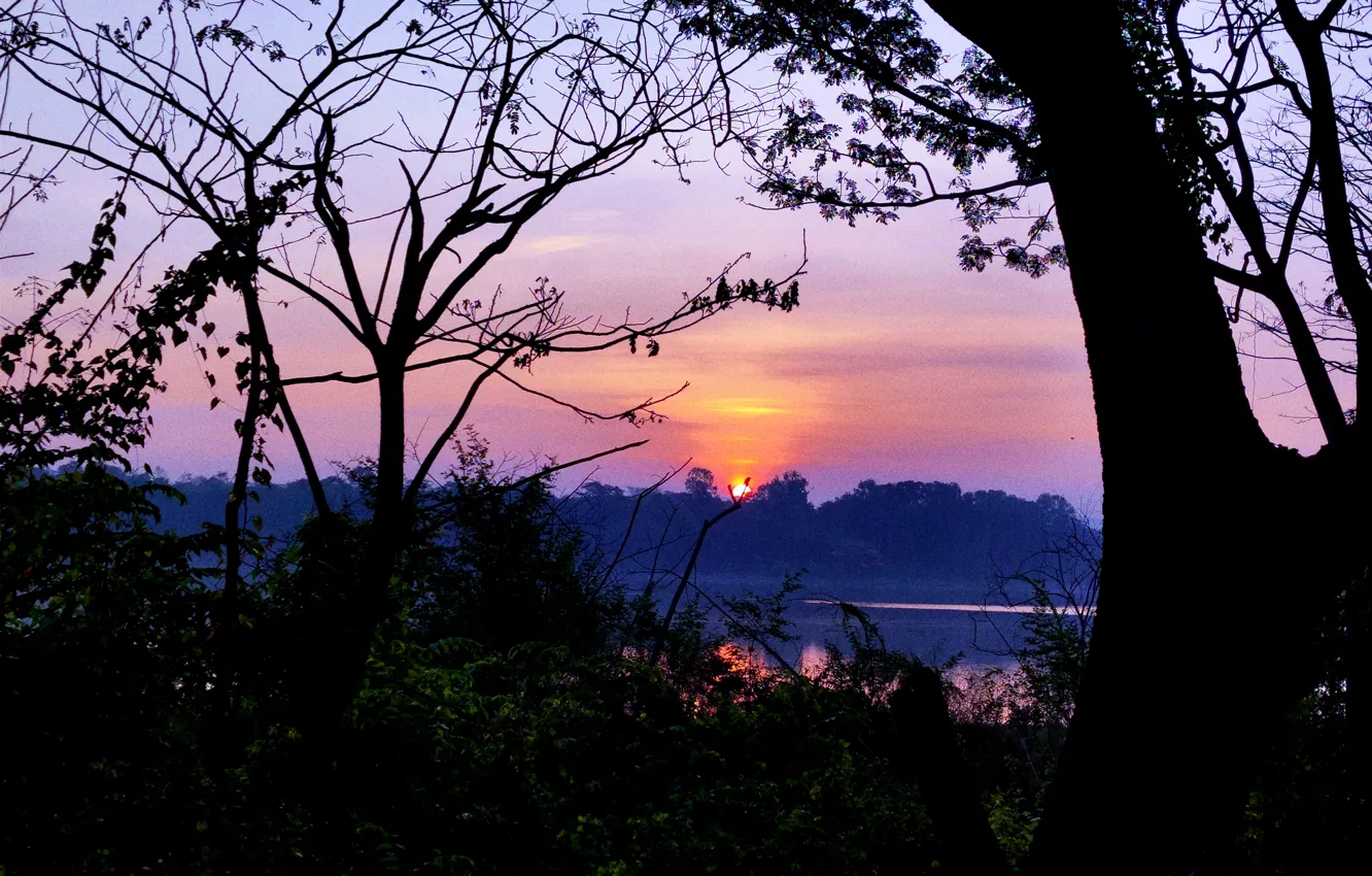 Фото обои Sun, Sunrise, Dawn, Morning, Lake, Trees, Plants, Woods