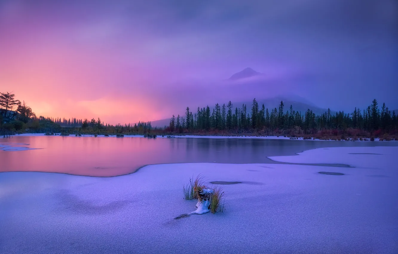 Фото обои зима, деревья, закат, горы, озеро, Канада, Альберта, Banff National Park