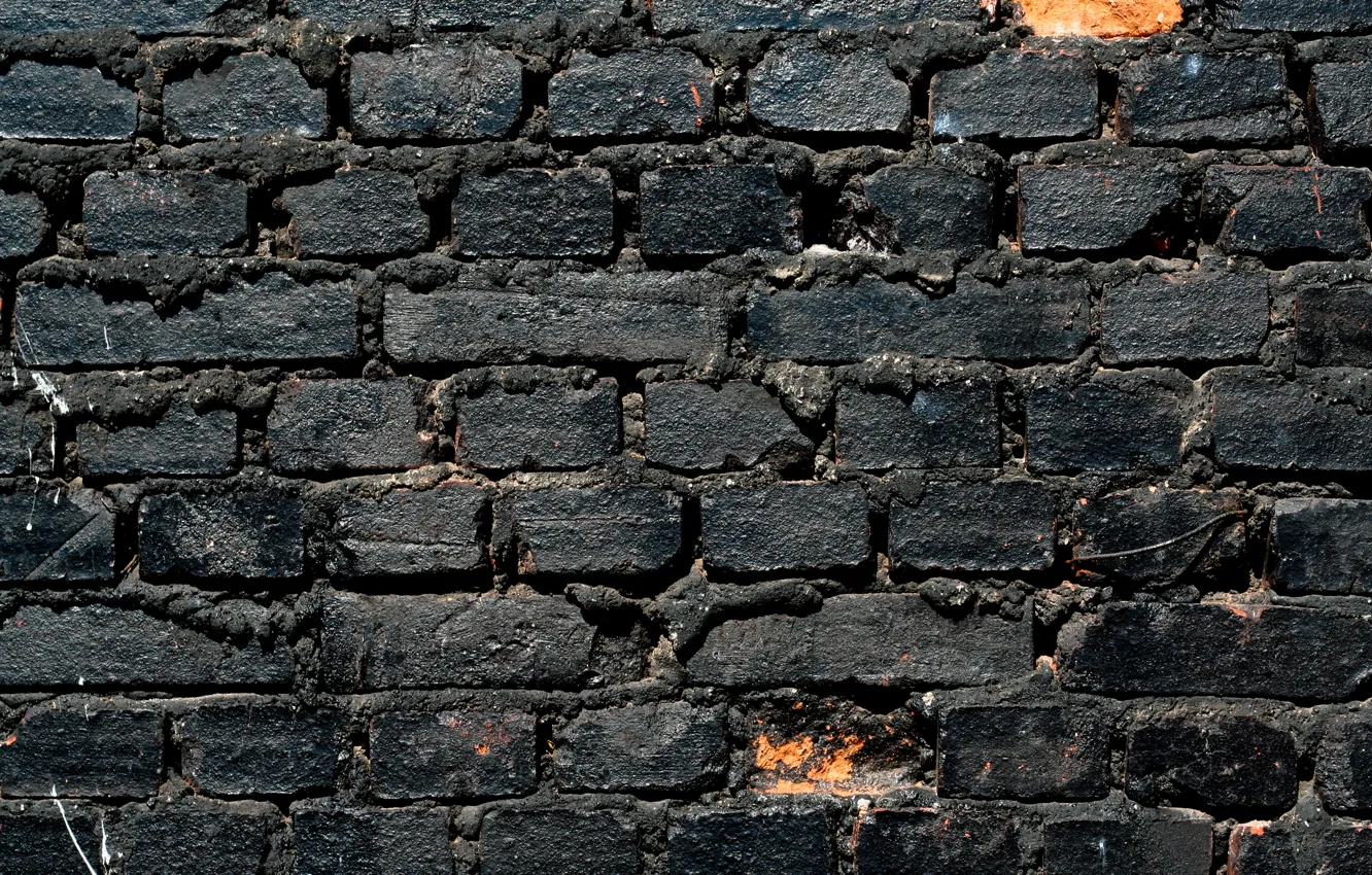 Фото обои wall, white, black, bricks, pattern