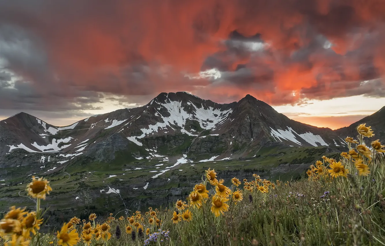 Фото обои закат, горы, небо.цветы