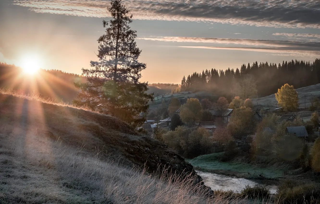 Фото обои иней, осень, солнце, лучи, пейзаж, природа, туман, дерево
