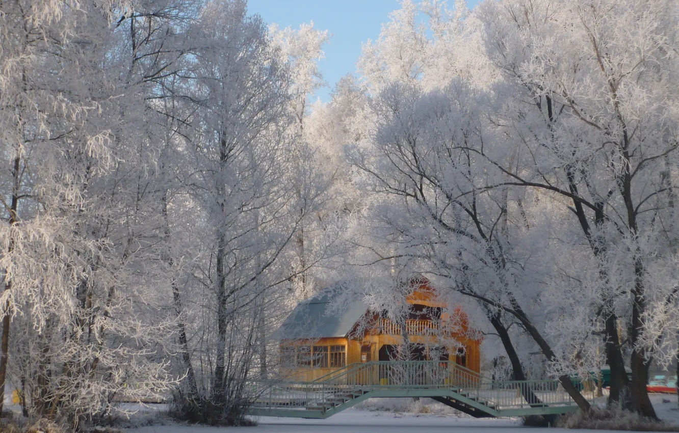 Фото обои зима, снег, иний, домик