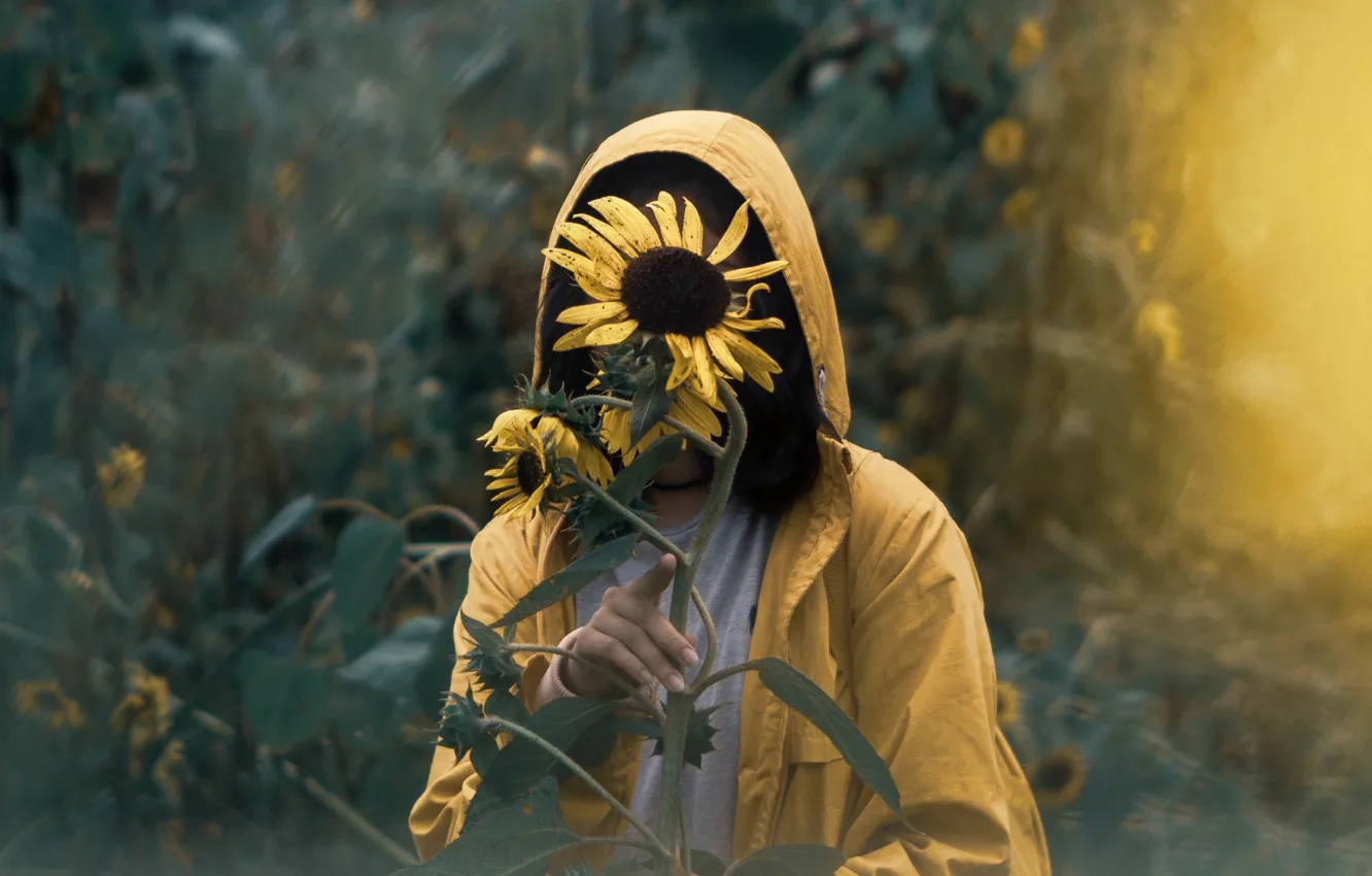 Фото обои Girl, Alone, Solitude, Mood, Situation, Sunflowers