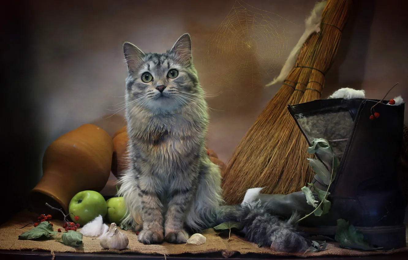 Фото обои кошка, кот, листья, животное, яблоки, паутина, мешковина, чеснок