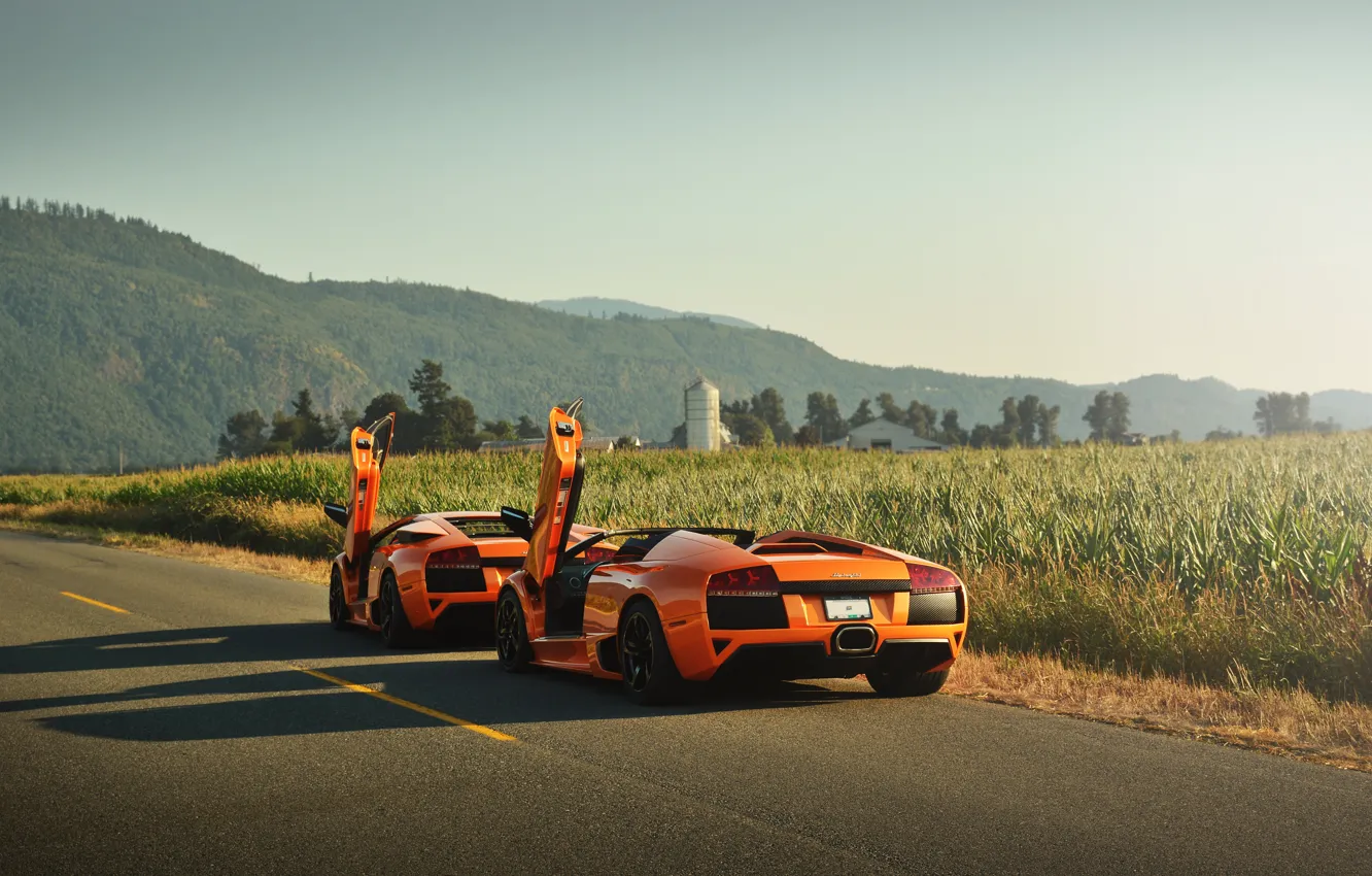 Фото обои lamborghini, murcielago, mountain