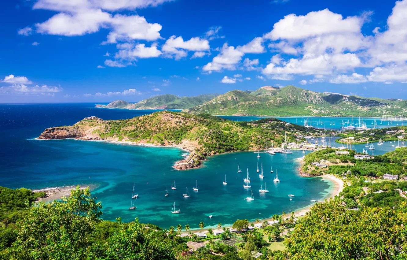 Фото обои sea, landscape, island, yachts, bay