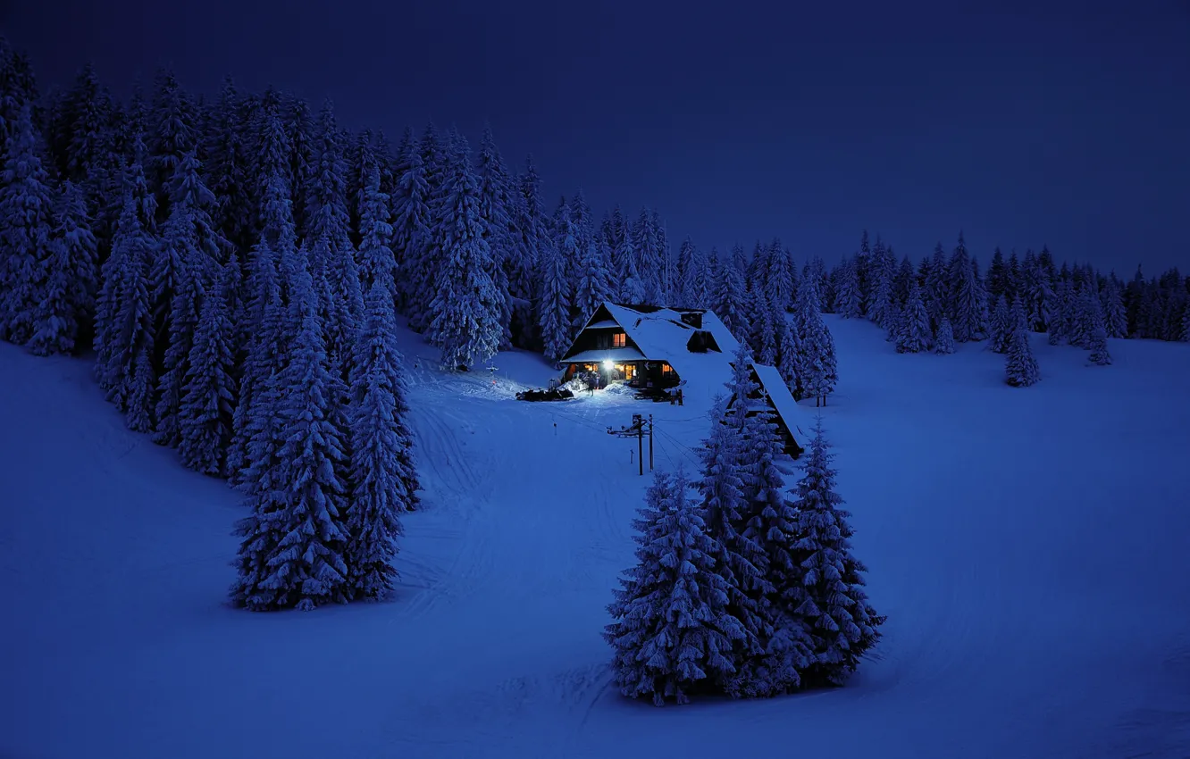 Фото обои Зима, Горы, Ночь, Лес, Дом