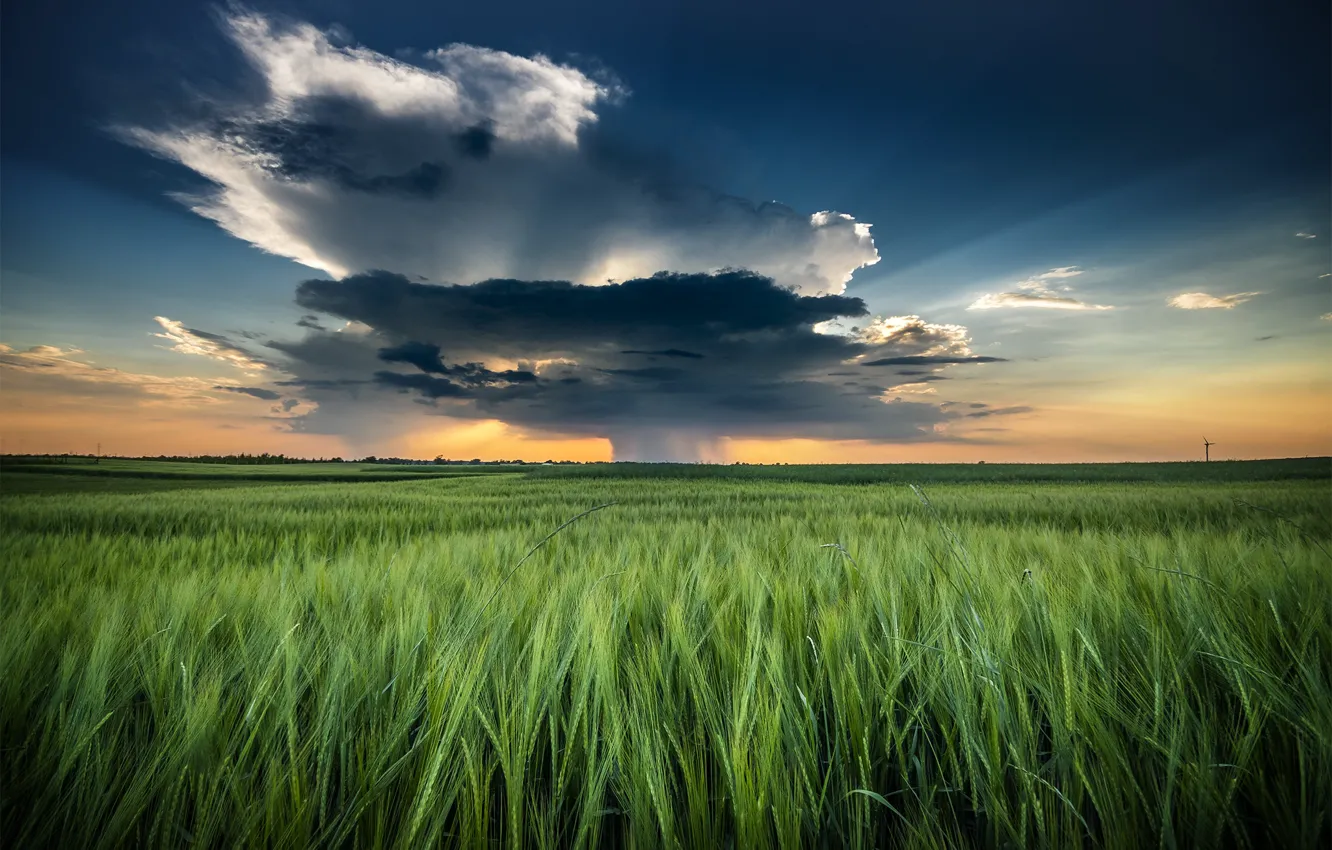 Фото обои поле, небо, пейзаж, тучи, природа, колосья, Robert Kropacz