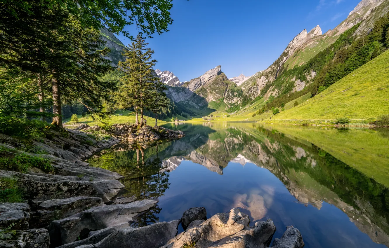 Фото обои деревья, горы, озеро, отражение, Швейцария, Альпы, Switzerland, Alps