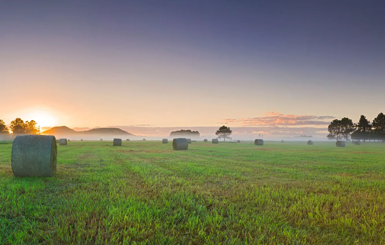 Фото обои поле, закат, туман, утро, роллы